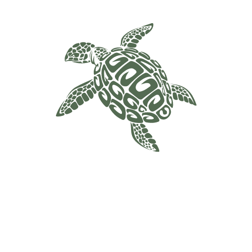 Casa el tortugo